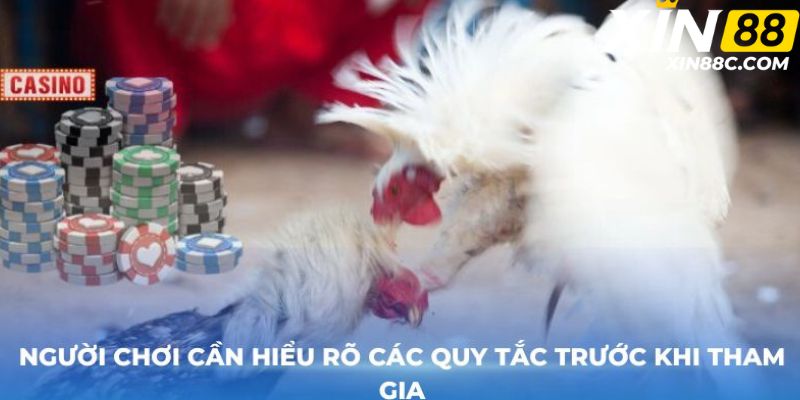 Người chơi cần hiểu rõ các quy tắc trước khi tham gia