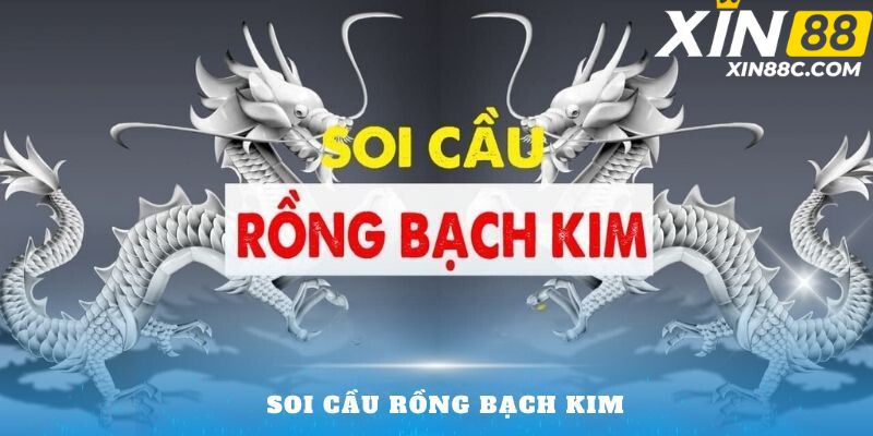 soi cầu rồng bạch kim